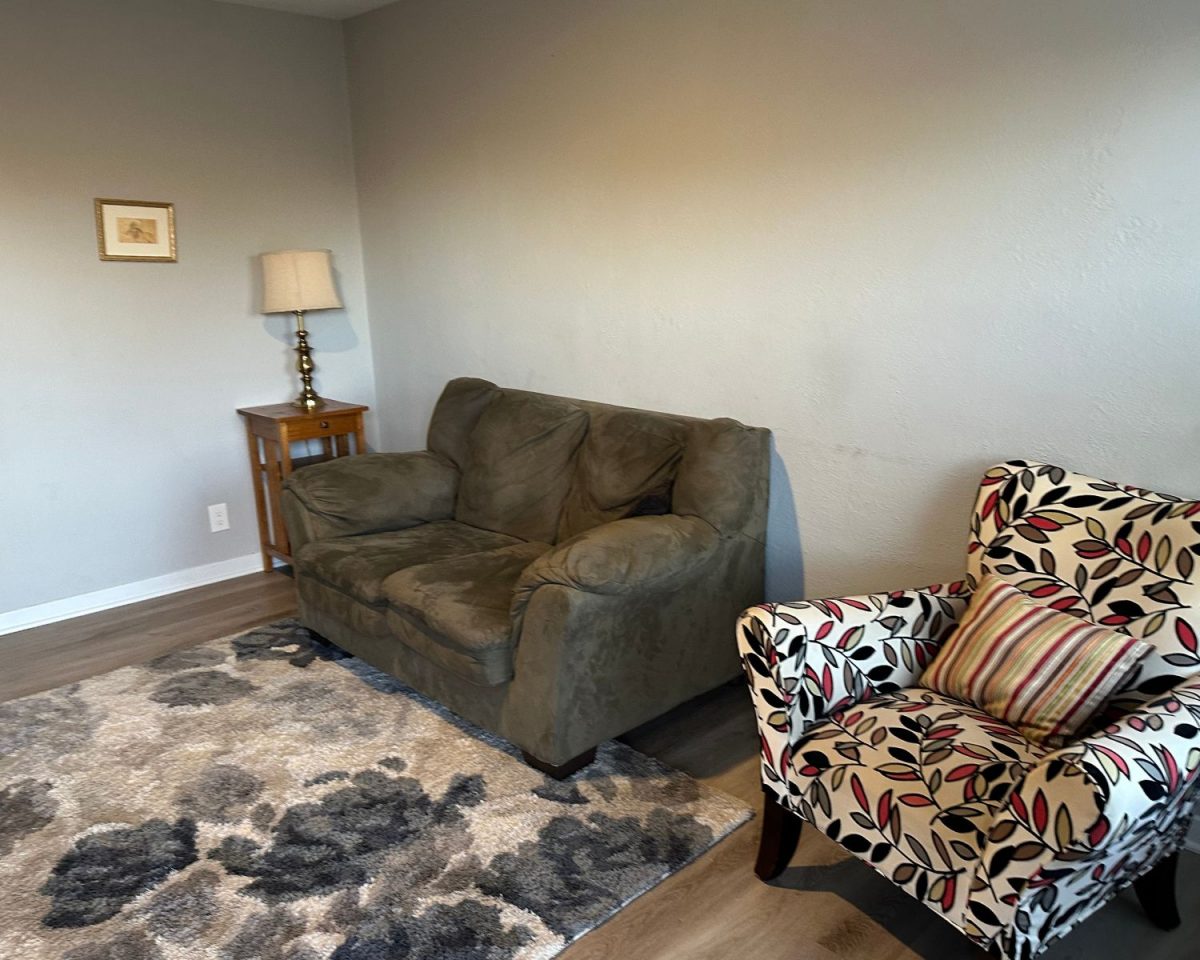 Living room with loveseat, armchair with a pillow, rug, end table, lamp, and picture on the wall